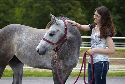 Equine Info Exchange and Purina Adopted Horses